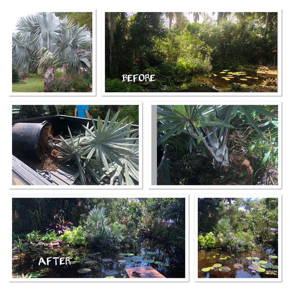 JIM BINGHAM’S WORLD FAMOUS DISCOUNT&nbsp;PLANTS